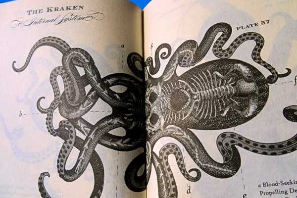 Kraken 2krn at